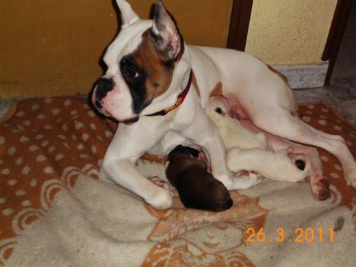 yuma q hacia un dia q fue mama yuma q hacia un dia q fue mama